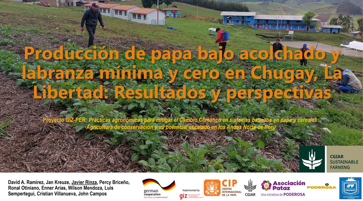 🎥 Presentamos la ponencia de <a href="/javierrinza/">Javier Rinza</a> - <a href="/Cipotato/">International Potato Center</a>  sobre papa con acolchado y labranza mínima/cero en Los Andes 🇵🇪🌱
Resultados agronómicos, económicos y ambientales 💡
Gracias <a href="/giz_gmbh/">GIZ</a>  &amp; <a href="/investigacionAP/">Investigación Agraria - Asociación Pataz</a> 
📺 Video 👉 youtu.be/EJMaP_FBqEo
#Papa #AgriculturaRegenerativa