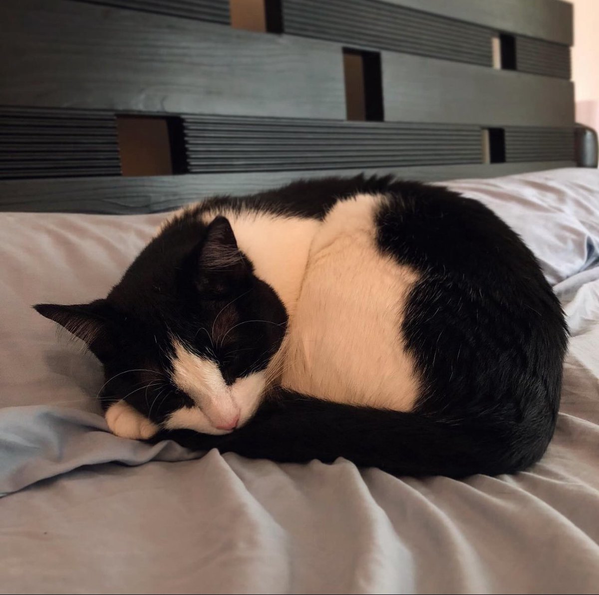 I’ll miss you so much, little one. Thank you for choosing me to be your dad. I love you ❤️