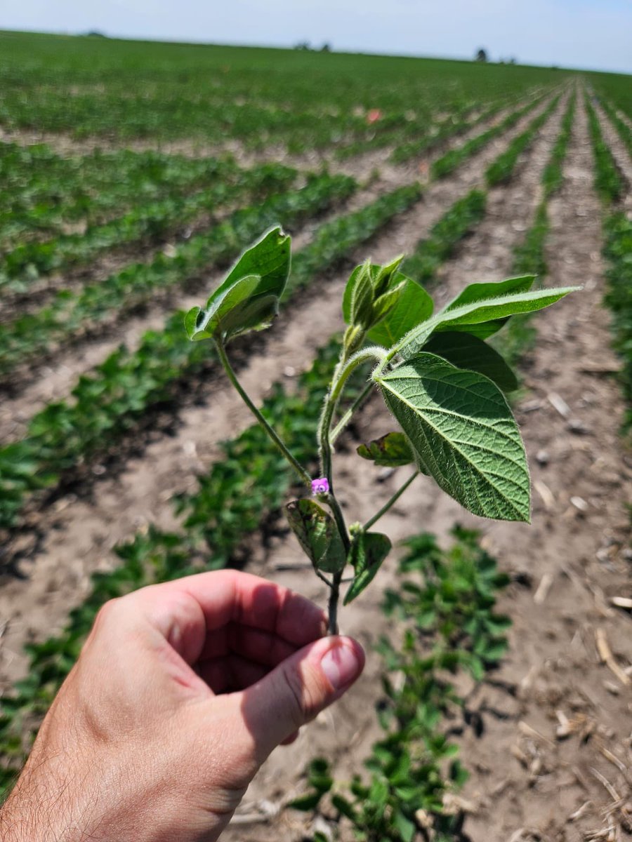 Giovani Preza Fontes tweet media