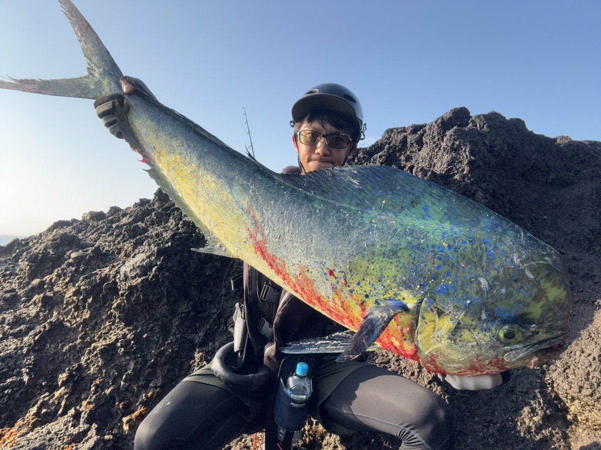 murachio's tweet image. 南方遠征って感じ(笑)