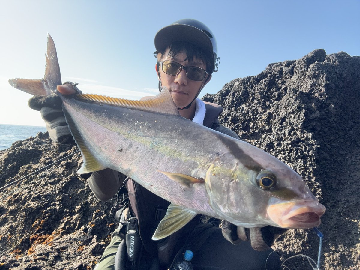 murachio's tweet image. 南方遠征って感じ(笑)