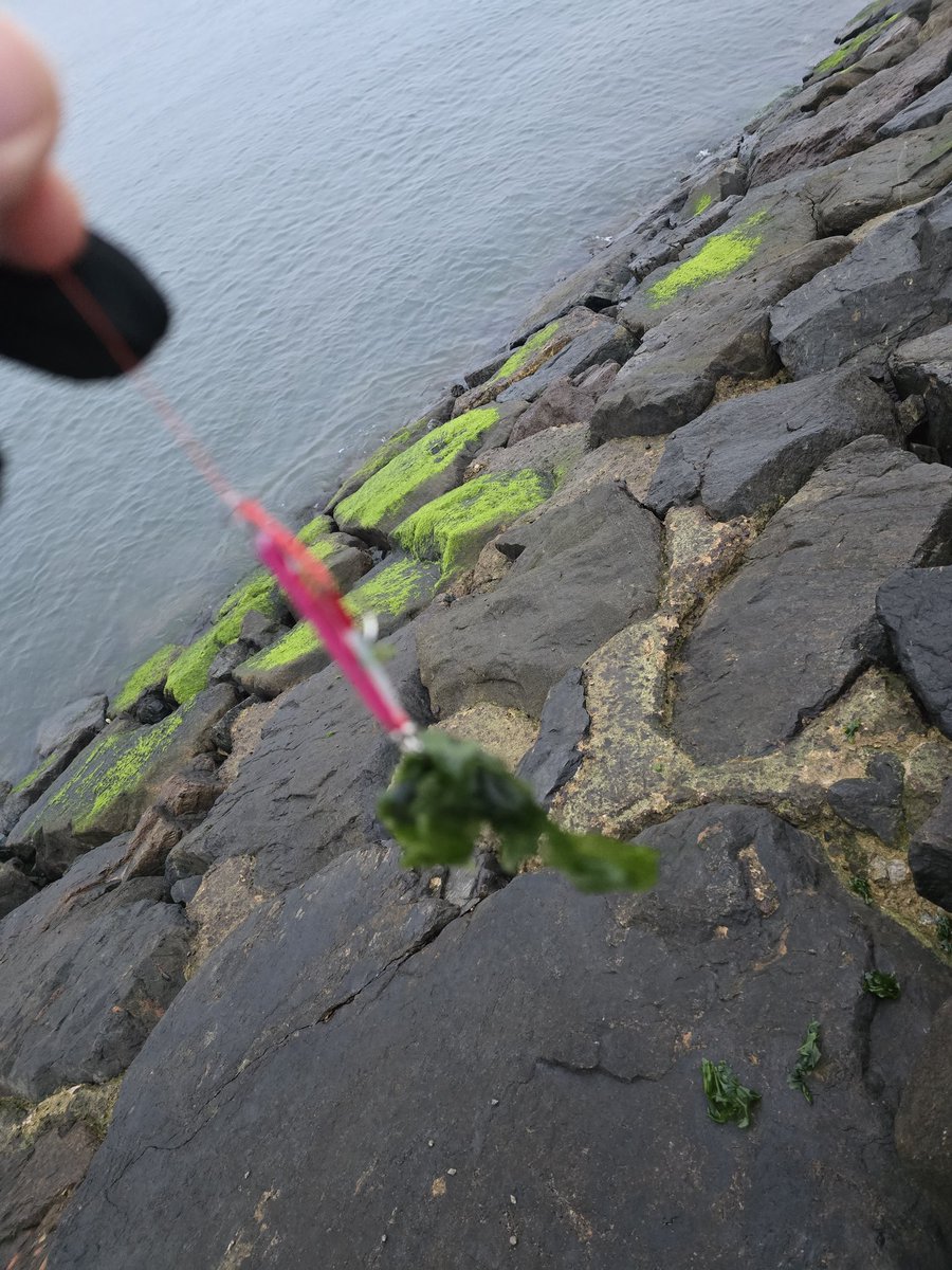 평오오해버림..