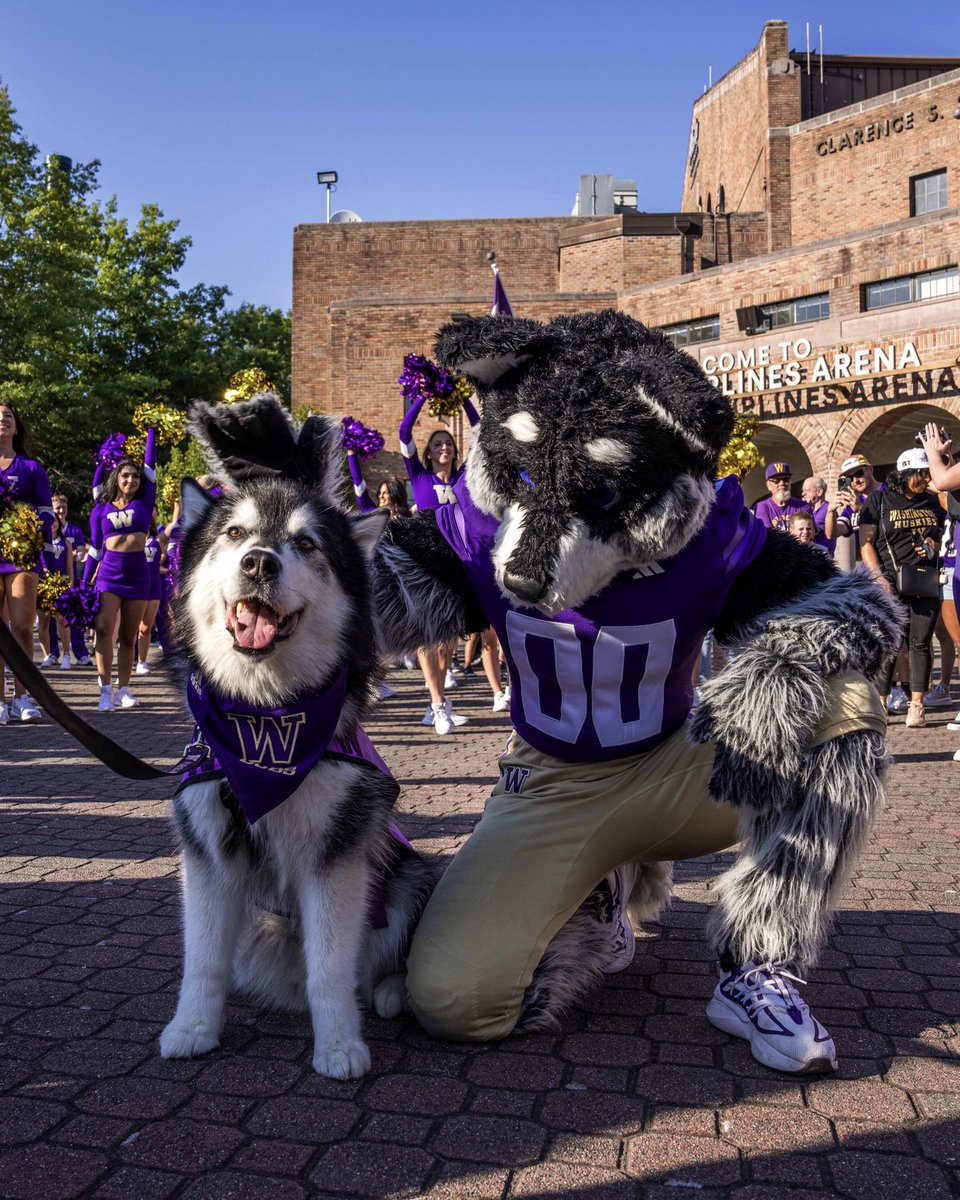 Washington Athletics (@uwathletics) on Twitter photo Heard from some Dawgs that it’s #NationalMascotDay 🐾
#GoHuskies Heard from some Dawgs that it’s #NationalMascotDay 🐾
#GoHuskies