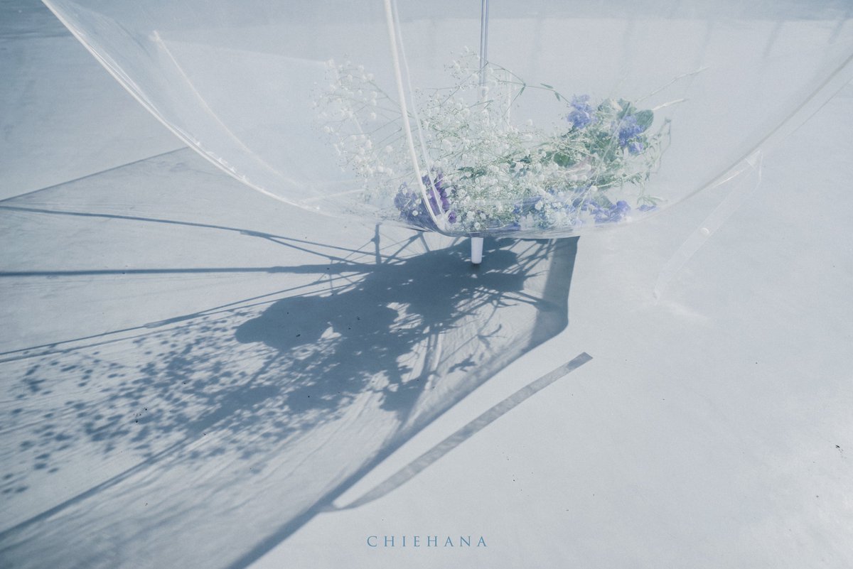 chie hana tweet media