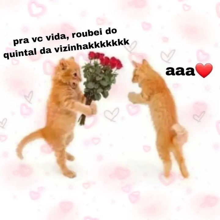 memeparaoarroba's tweet photo. https://t.co/AF9Kf57Hu0