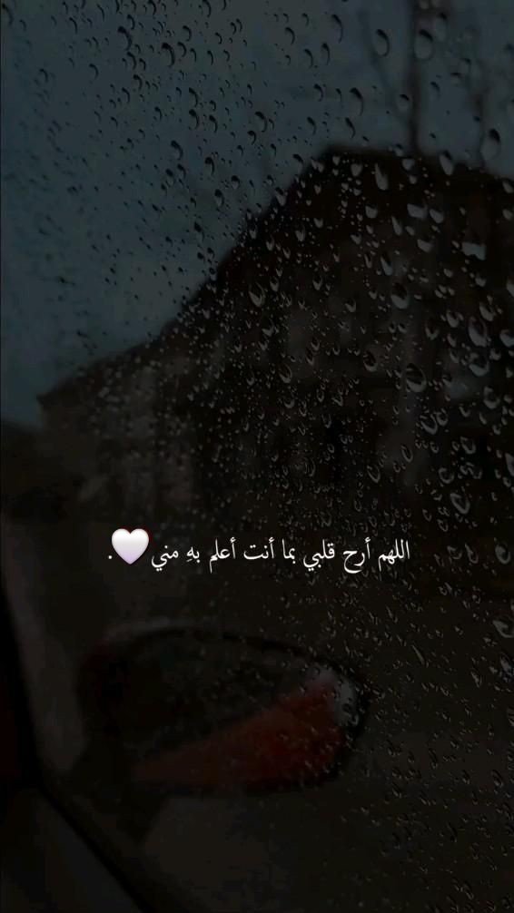 Mohamed EL-Shaby (@mohamedelshaby5) on Twitter photo 