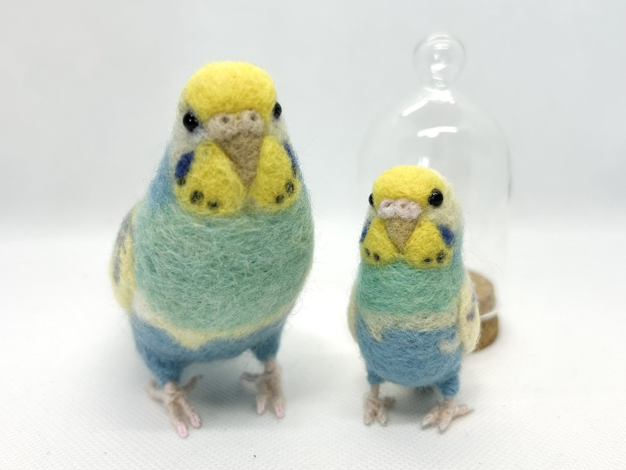 tama♡3月限定特価♡カーネーション　セキセイインコ　フラワーリース カラフル☆セキセイインコ2（一羽売り） - Atelier TOMOKO's
