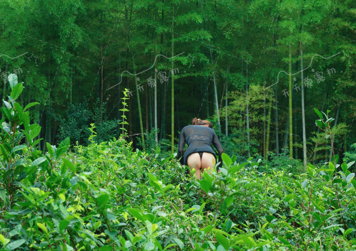 绿野仙踪第三季
山风撩开轻薄的裙角，细腻的汗珠正从臀瓣滑落，刚好被茶树枝接住，这一季的茶叶就叫臀香吧，哈哈
#少妇  #露出 #情趣
@007share 
@wqganenshi_ 
@Public_Catgirl1 
@luchu888888 https://t.co/7KOvGA4HMR