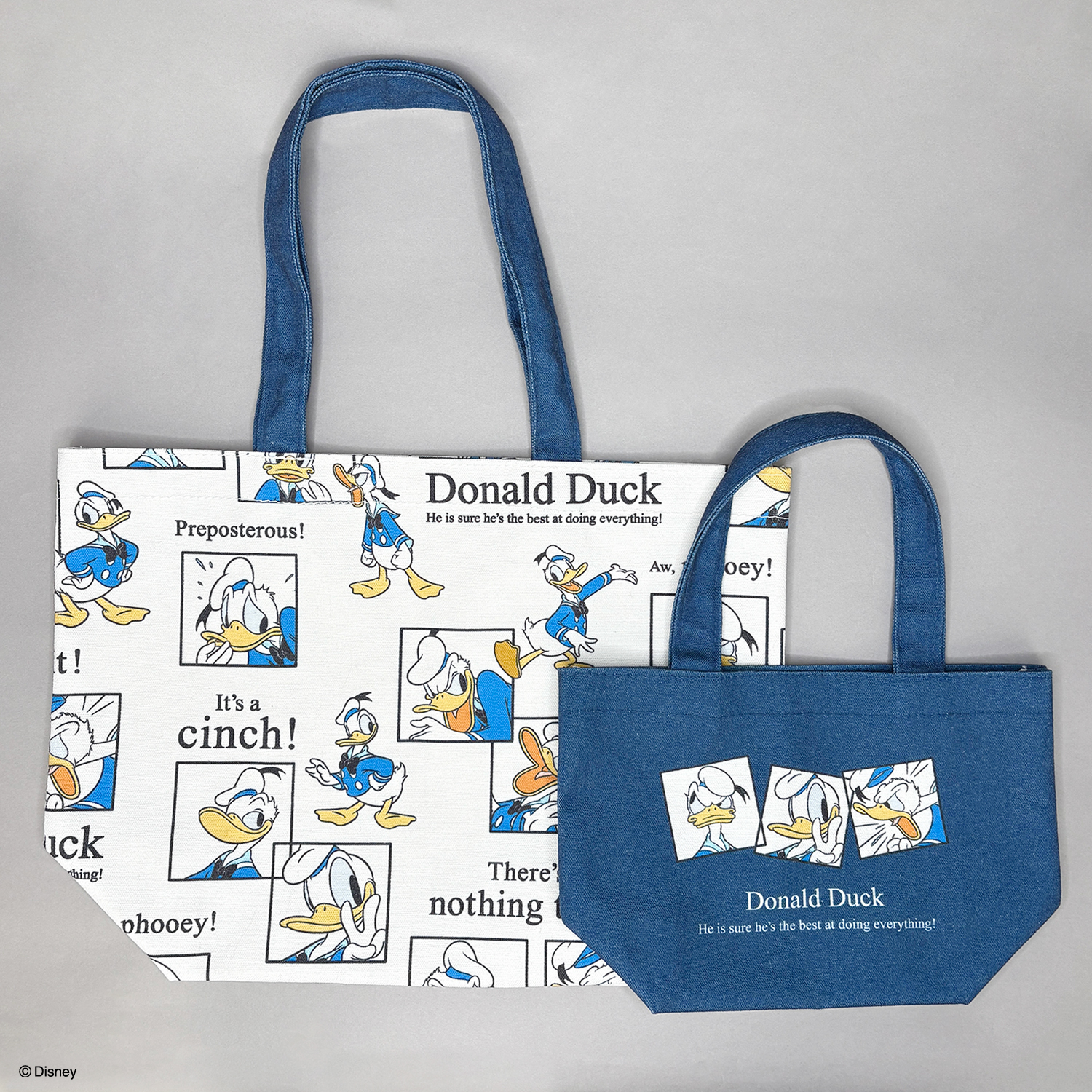 DuckDuck樣専用　Disney Adventure トートバッグ GtrvcewaQAEZgl5.jpg:large