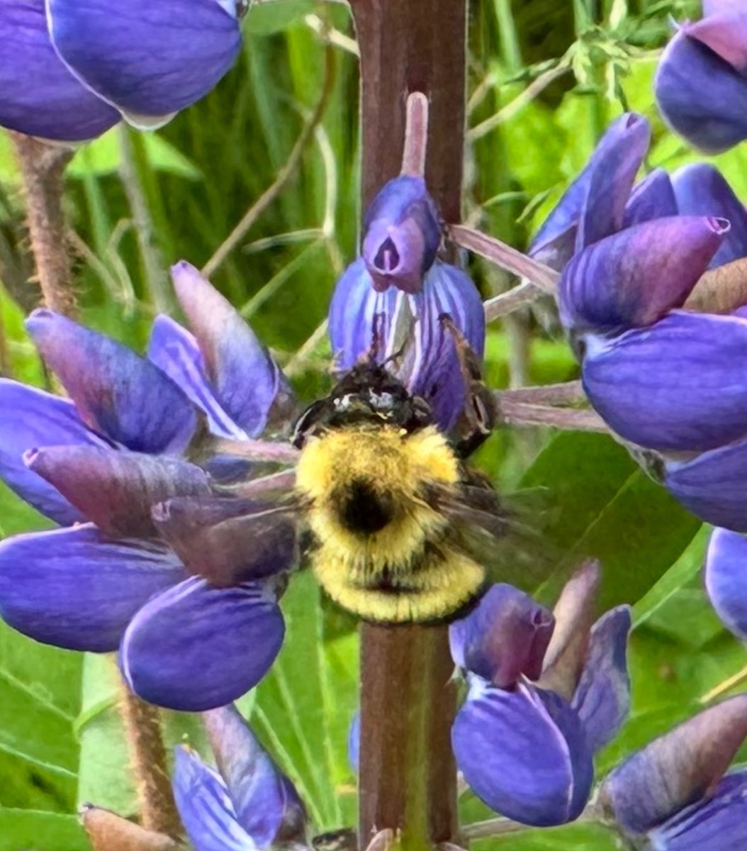 🌮 Steve / Between Bankrolls tweet media