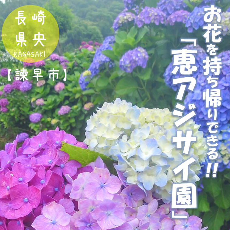 引っ越し断捨離▶プロ必読様 リクエスト まとめ商品　紫陽花　アジサイ 3点