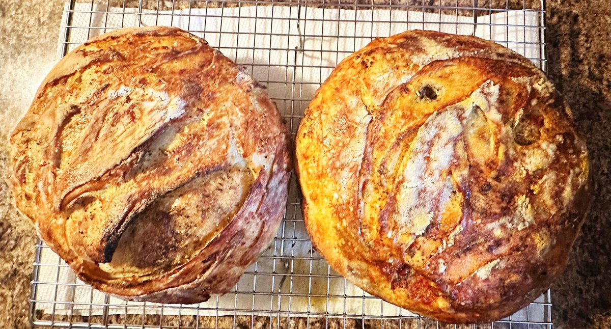 GardynGirl2's tweet photo. My garden herb sourdough croissant loaf is a huge hit!Fresh baked w/tomato, garlic, butter, basil, parmesan cheese w/my own italian seasoning grown from my garden bundled inside. A bonus was making some into croutons. 😍😋🤤 #homemadeisbetter #freshsourdough #growyourfood 🌱🪴🌿 https://t.co/LlQJubjrdp