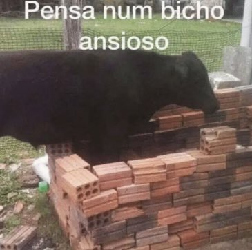 unupt1's tweet image. mano