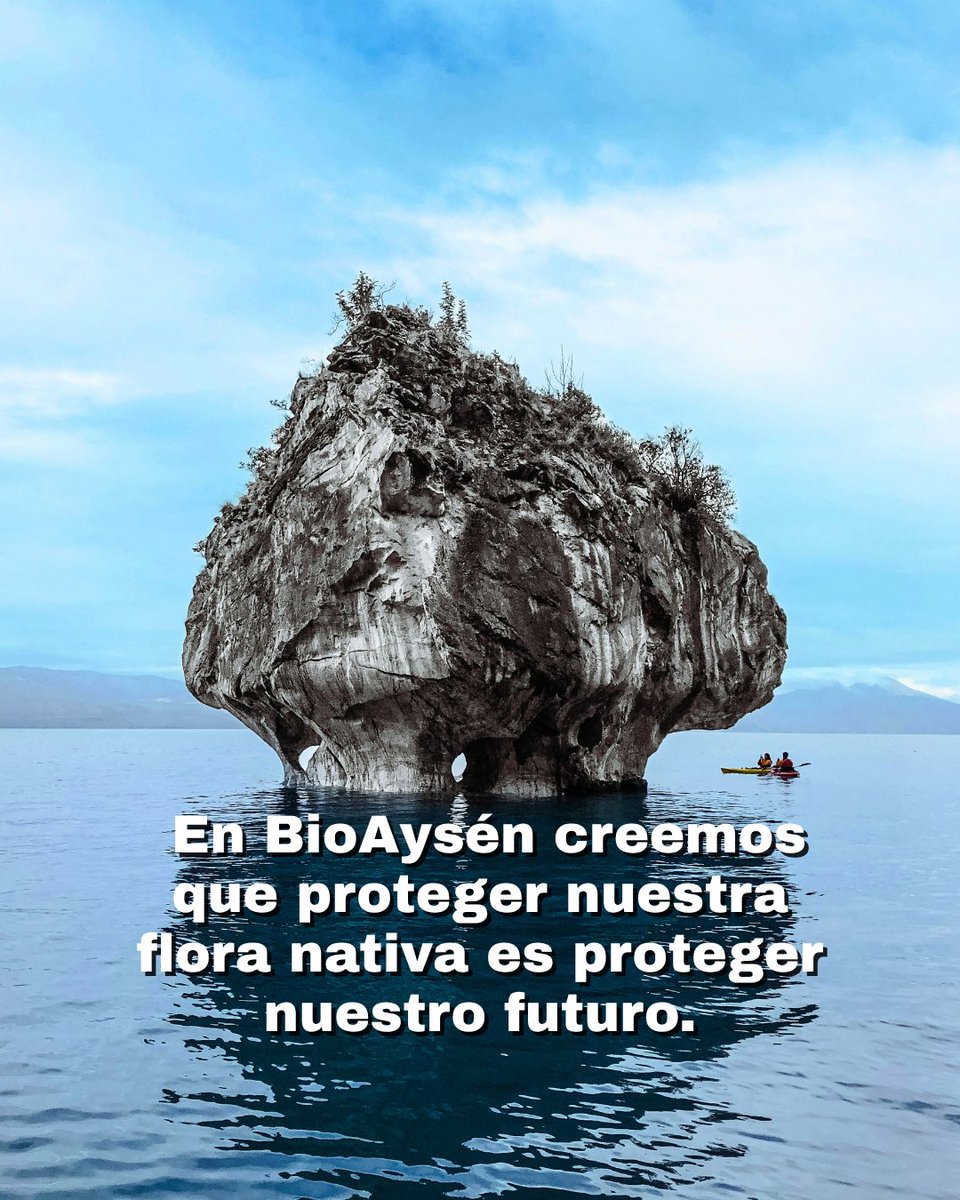 chile_circular's tweet photo. https://t.co/FjKllzLNNP