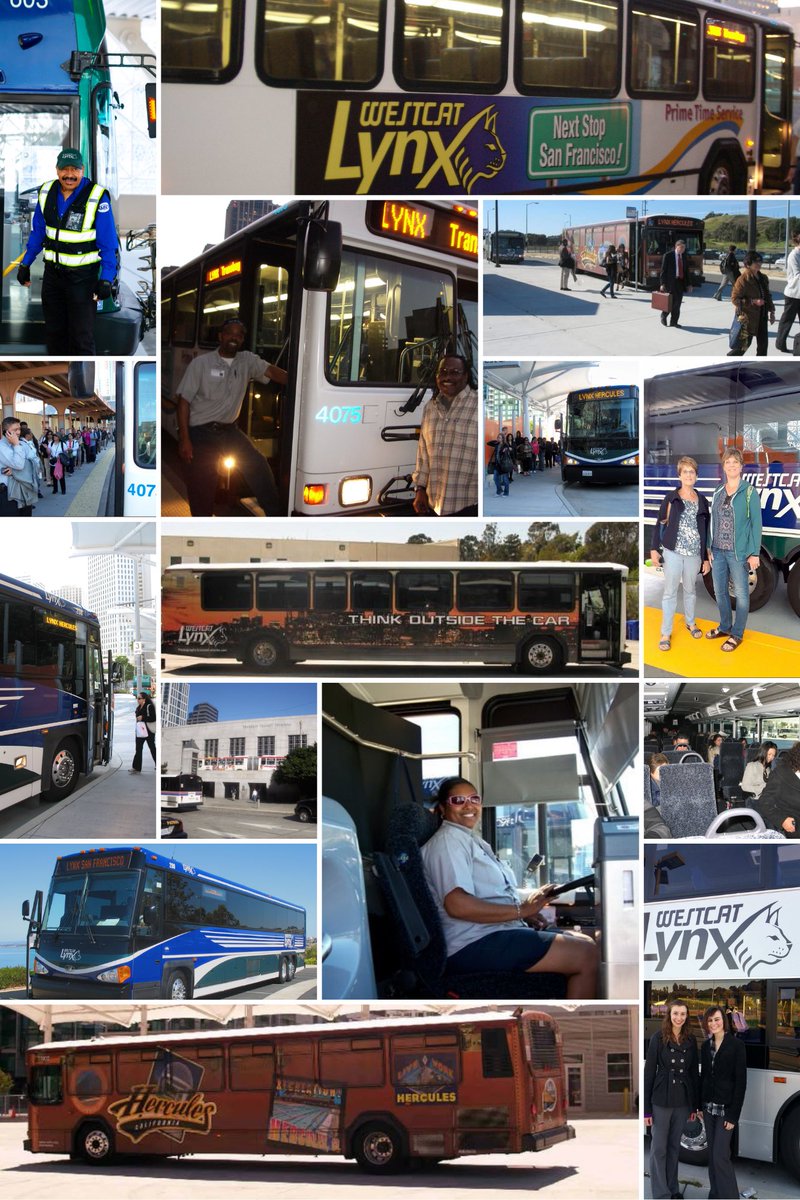 🎉 Lynx is turning 20! 
For 2 decades, WestCAT’s Lynx has been more than a commute—it’s been part of your story. Now it’s time to celebrate YOU—our riders.
📣 Share your memories, &amp; photos using #MyLynxStory for a chance win cool prizes! Let’s ride through the memories together.