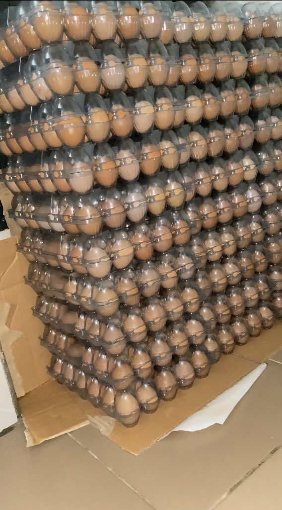 Sickle Cell Free-Society Initiative tweet media