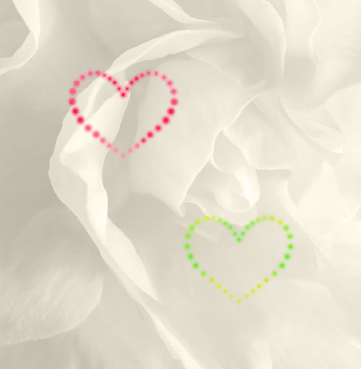 Helianthusoo_11's tweet photo. 💗💜🩵💚🧡❤️

Heart flash - available in any colour
Size and prices are as listed

All appointments made via DM

#tattoo #tattoodesign #colourtattoo #fitzroytattoo #cutetattoo https://t.co/9iyk0l0A3P