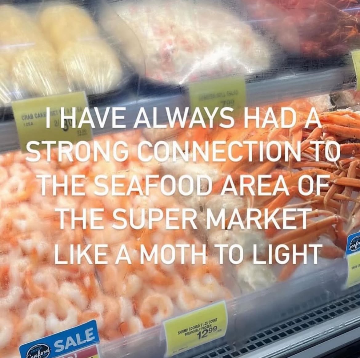 Images AI Could Never Recreate (@imagesaicouldnt) on Twitter photo 