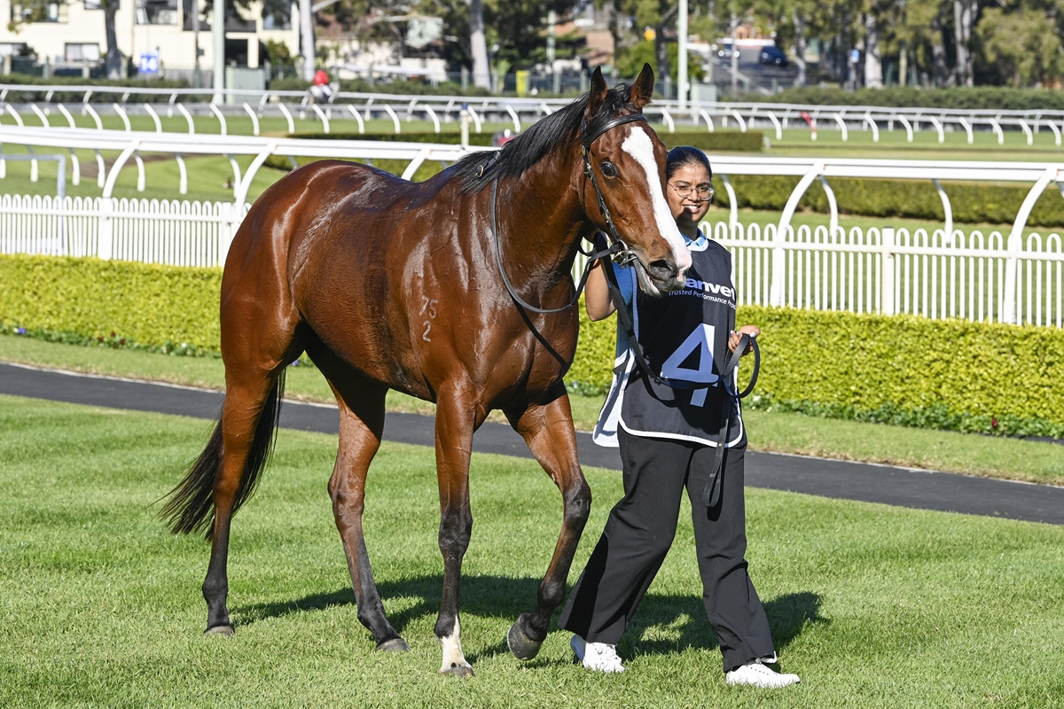 Tara Madgwick (@breednet) on Twitter photo 420k MM purchase from Newgate, Extreme Choice 2YO filly Kakadu Sunset wins on debut, this little girl cute as a button! breednet.com.au/news/39991/ext… <a href="/NewgateFarm/">Newgate</a> <a href="/mmsnippets/">Magic Millions</a> <a href="/KingstarFarm/">Kingstar Farm</a> <a href="/GaiWaterhouse1/">Gai Waterhouse AO</a> 420k MM purchase from Newgate, Extreme Choice 2YO filly Kakadu Sunset wins on debut, this little girl cute as a button! breednet.com.au/news/39991/ext… <a href="/NewgateFarm/">Newgate</a> <a href="/mmsnippets/">Magic Millions</a> <a href="/KingstarFarm/">Kingstar Farm</a> <a href="/GaiWaterhouse1/">Gai Waterhouse AO</a>