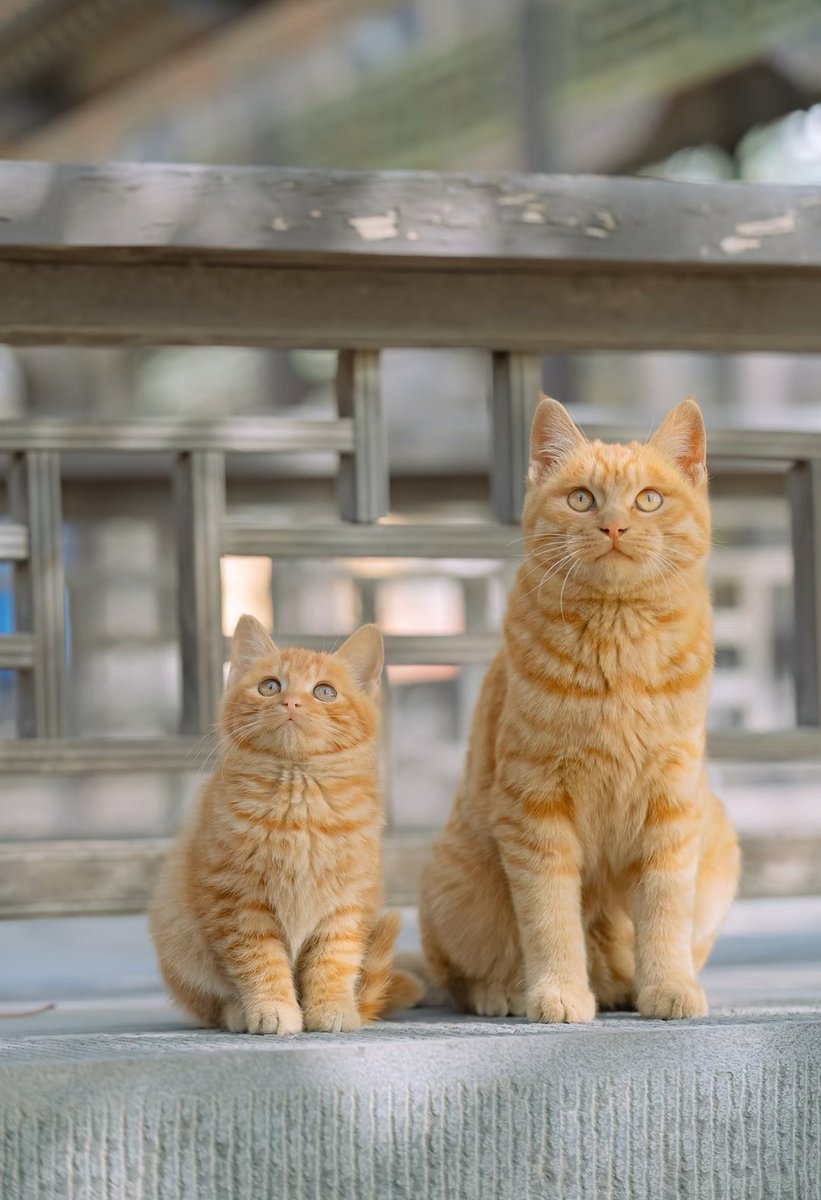 Cute?