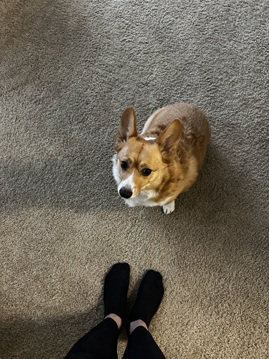 postergirl5's tweet image. How is tomorrow my Monday?! 🥲 Catching up with a good friend always uplifts me #sf #berkeley #bayarea