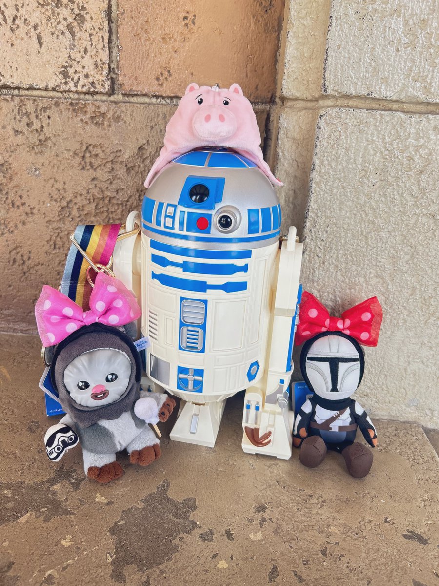 ディズニーランドのちいちゃいカチューシャ、ほわぬいてゃんには