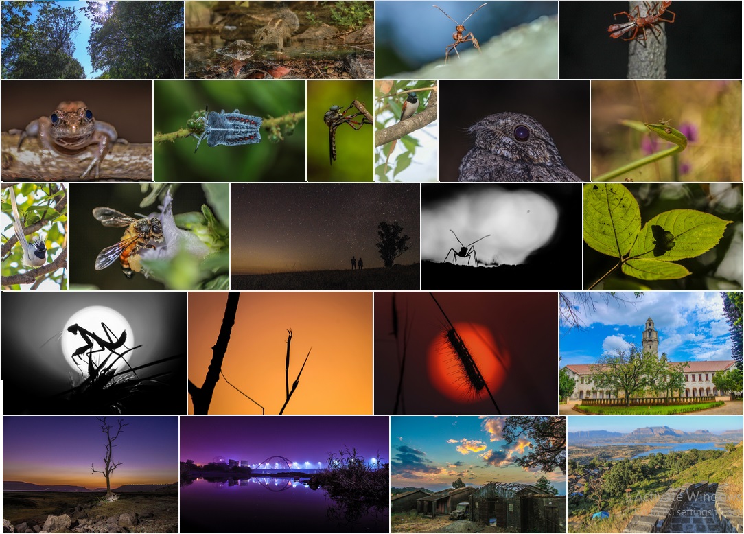 TheFindingNimo's tweet image. कभी कभी लगता है  आपुन  ठीक ठाक फोटोग्राफर है ....📸
#Collage #photography #nimo #Hobby