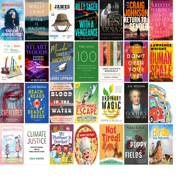 This week the Morris Public Library has 29 new books.  New items include Atmosphere and The River Is Waiting. wowbrary.org/nu.aspx?p=4452…