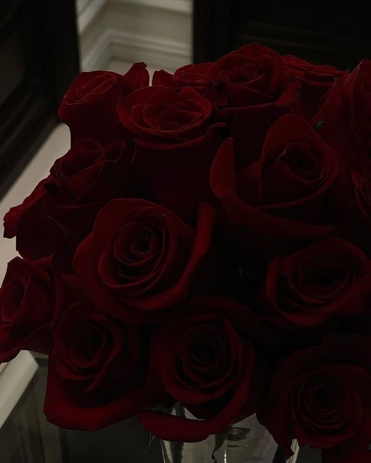 Brindemos por los labios que se atreven,
y las noches que no se olvidan.🔥❤️