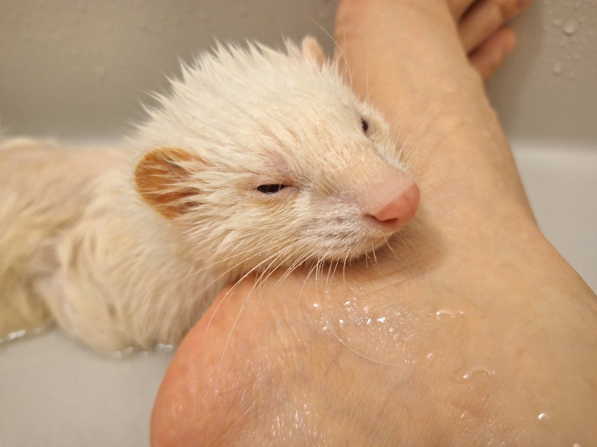 昨日のお風呂は終始おねむ？お疲れ？😭モードでした♨