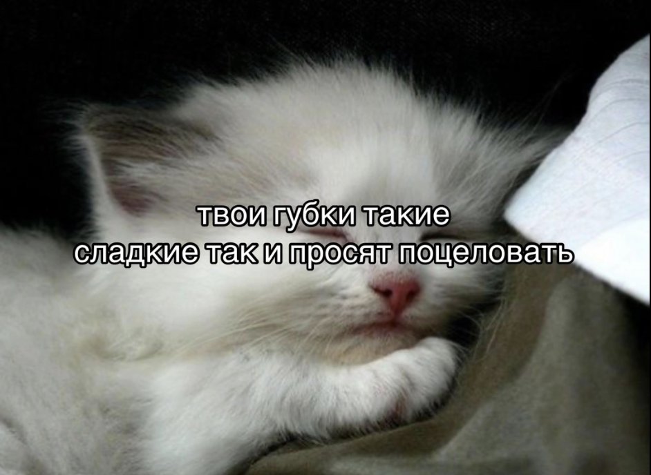 ✦ (@o03uyhk0cefn0po) on Twitter photo 