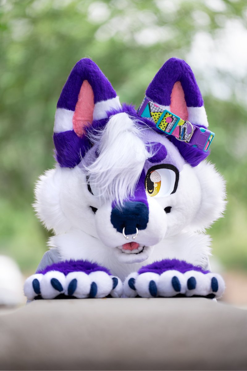 ✨️~ 

💜 <a href="/koydusk/">Jasper 🦴</a>