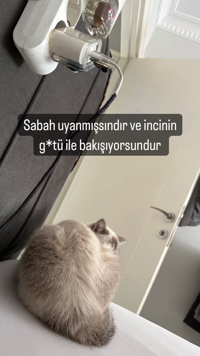 Günaydın ☀️