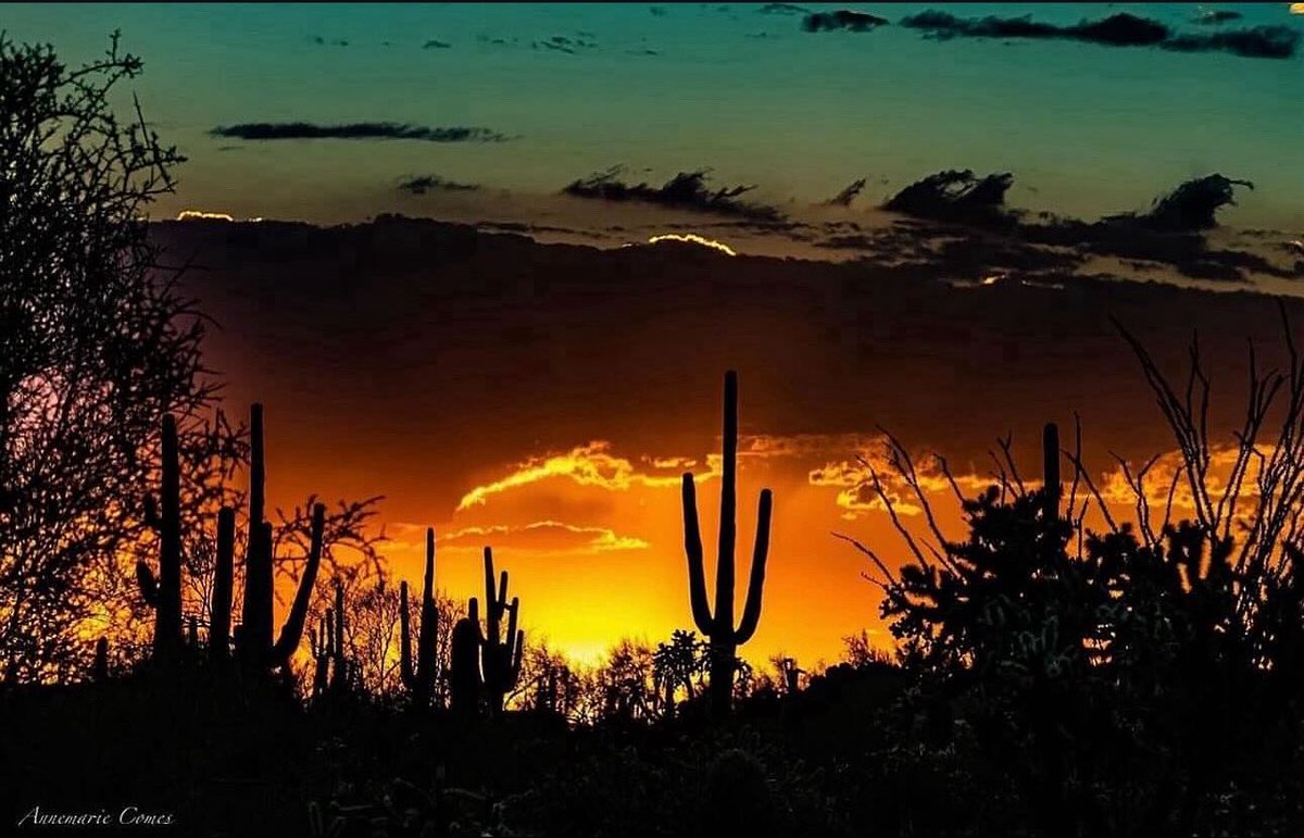 ComesAnnemarie's tweet image. “When you go out of your comfort zone and it works…there is nothing more satisfying.”
~ Kristen Wiig

#comfortzone #Outofthebox #Satisfying #Arizona #sunset #beauty