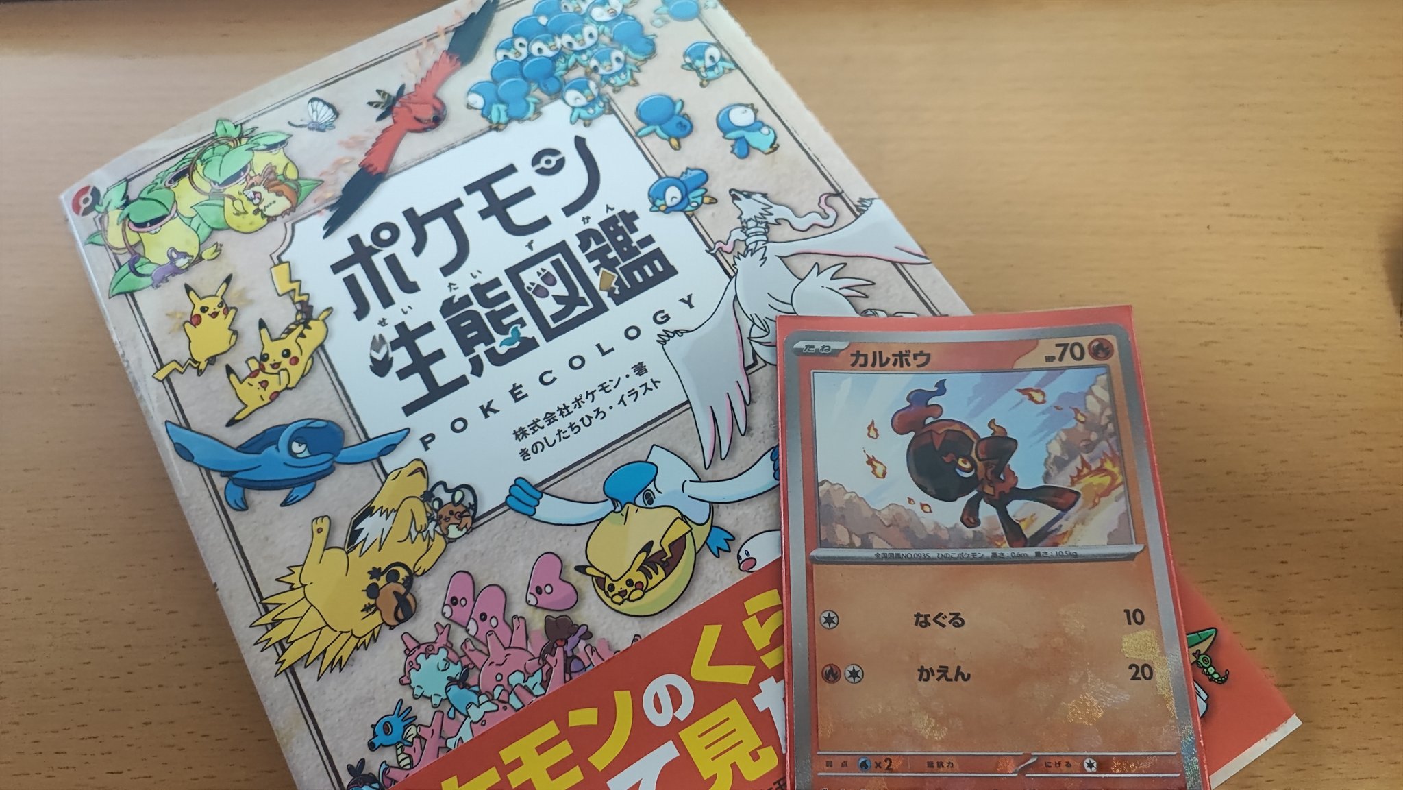 Amazon.co.jp: 声優 明坂聡美 サイン色紙 : ホビー