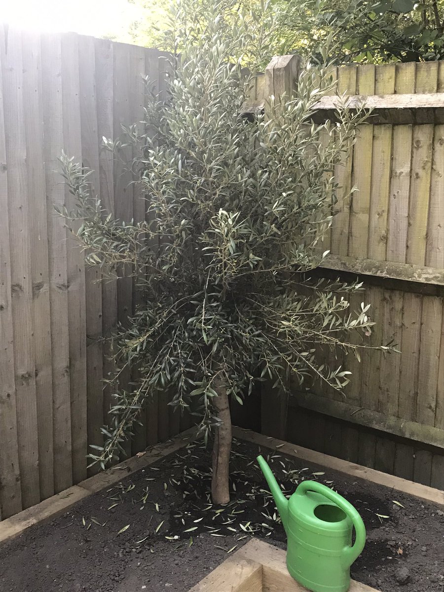 SusannJerry tweet media