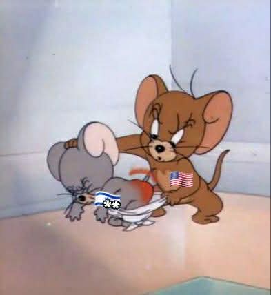 Dr.M. Shargawi tweet media