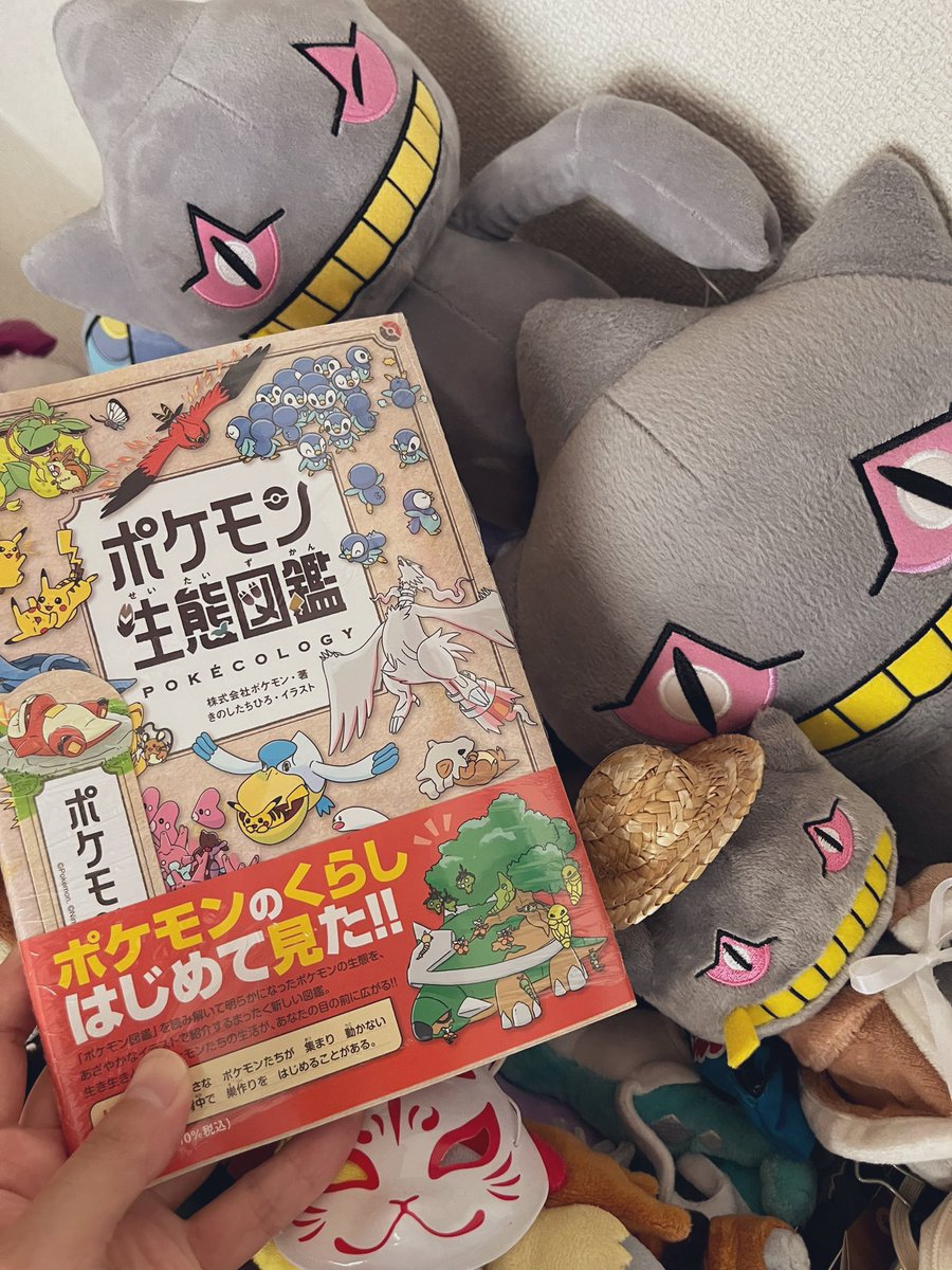 ポケモン生態図鑑読み終わった 読みごたえばつぐんすぎる ゲームの図鑑
