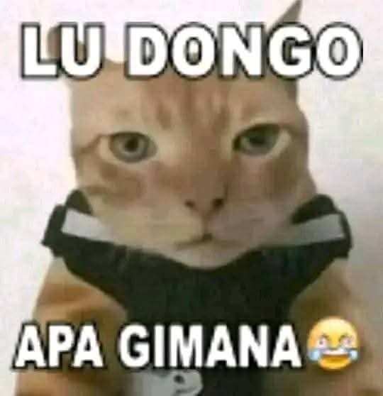 flowieluvr's tweet photo. @haleluyeaaah SCAM MU A https://t.co/e4zyIIbFh8
