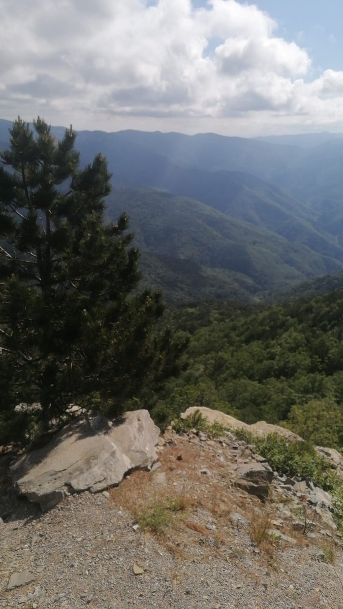 Günaydın 🫶❤️