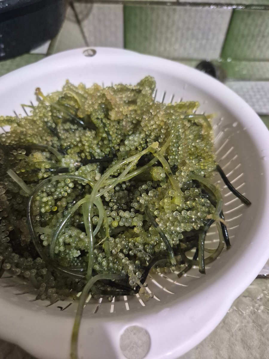 Mr_Copulate's tweet photo. Makakapagsalad na rin ng ganito. Tagal na rin last ko nito https://t.co/jnPiSoshGv