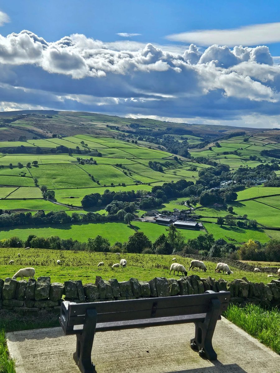 Truly amazing;

“Talk is cheap, but actions speak. Stop debating, start living. Integrity is built, not declared:”——

marcusaurelius

#シ゚viralシ #explore