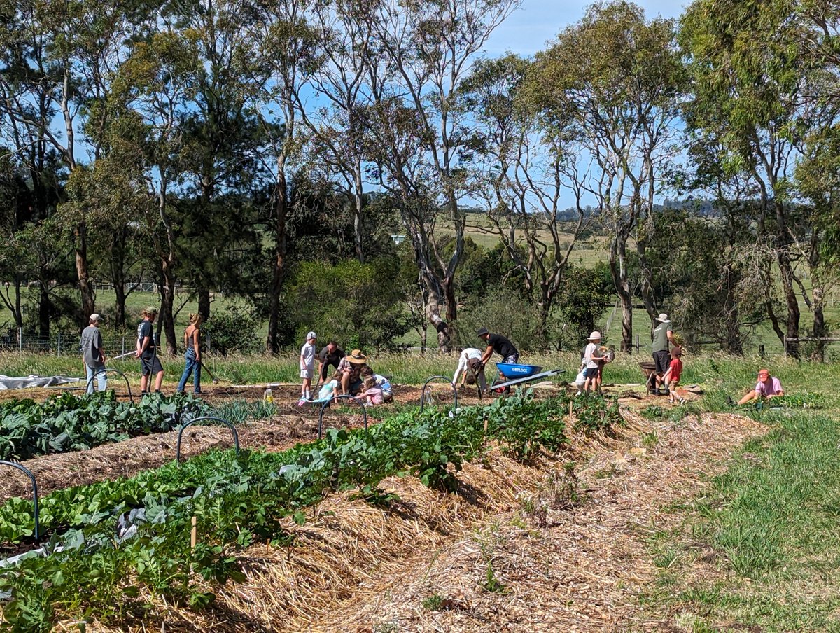 FRRR_Oz's tweet photo. FRRR's Community Led Climate Solutions (CLCS) grant program is accepting applications up until 26 June.
🌱Grants up to $20,000 are available for a broad range of community-led initiatives!
Apply now: https://t.co/IiJSHP7xl5
#CLCS #CleanEnergy #ClimateSolutions #JustTransition https://t.co/uP2SJxQP6W