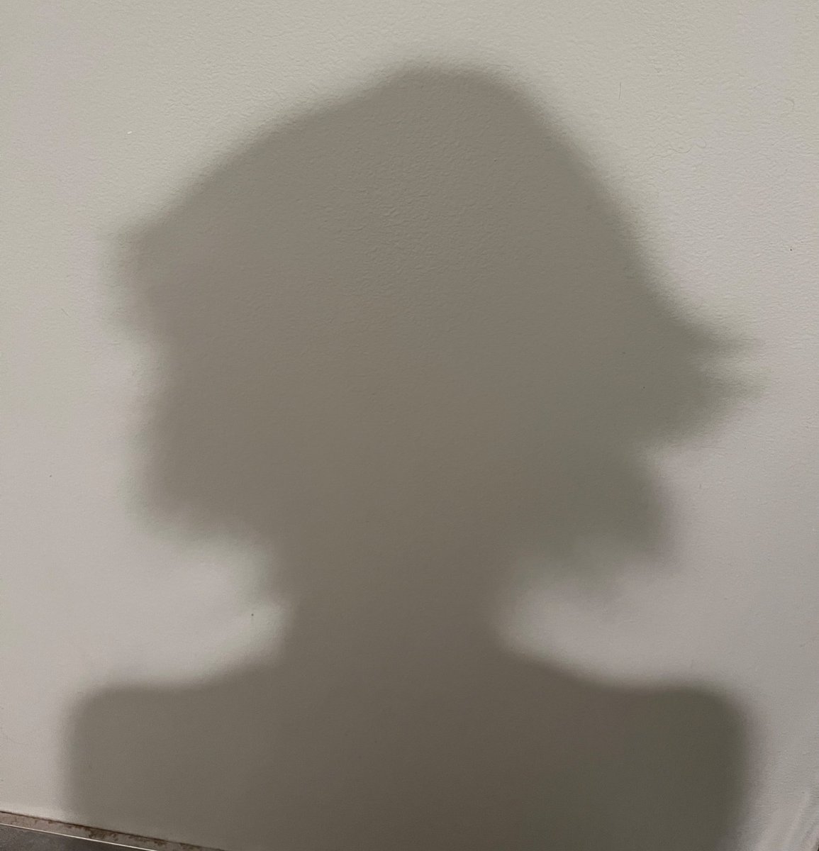 my hair after shower