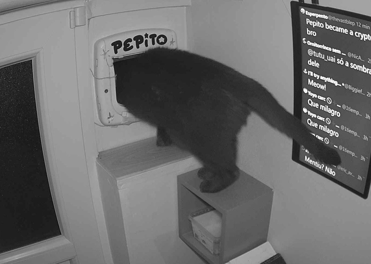 Pépito tweet media