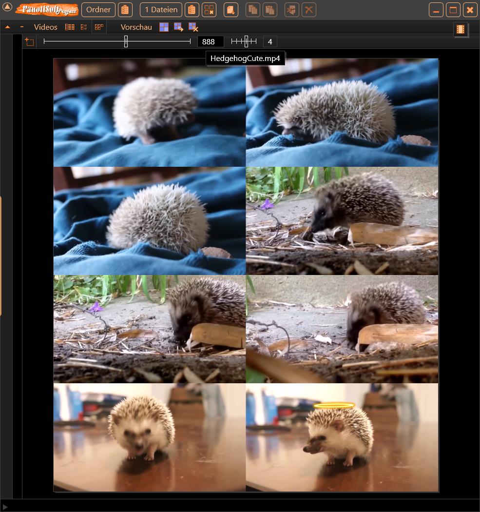PanotiSoft's tweet image. Today I worked on the preview of a cute hedgehog video 🦔🤎 with images in 1x2, 2x4, and 3x6 formats. I think the result is impressive. 🏆⭐

If you want, you can leave your video previews here 👇 #VideoPreview