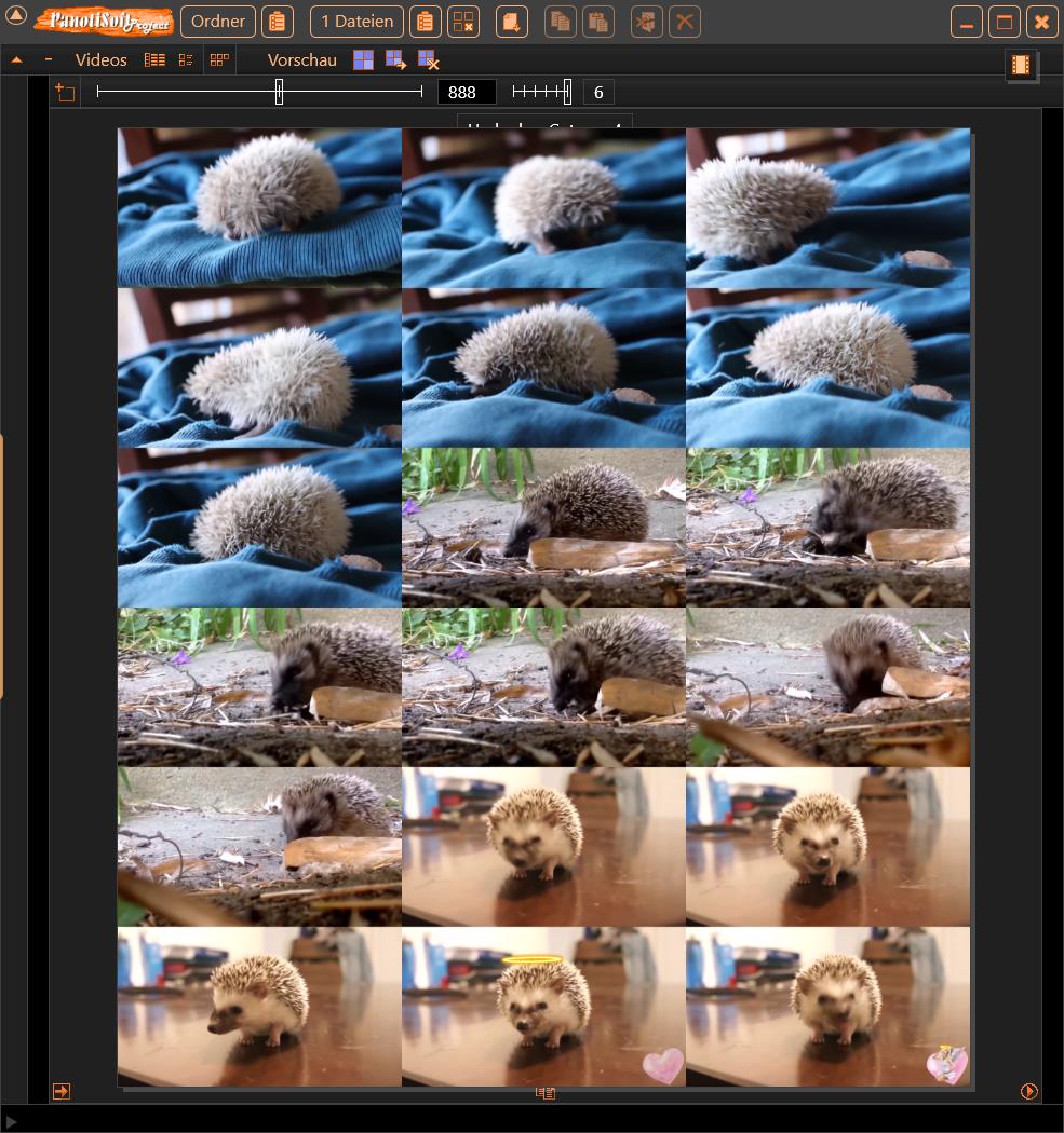 PanotiSoft's tweet image. Today I worked on the preview of a cute hedgehog video 🦔🤎 with images in 1x2, 2x4, and 3x6 formats. I think the result is impressive. 🏆⭐

If you want, you can leave your video previews here 👇 #VideoPreview