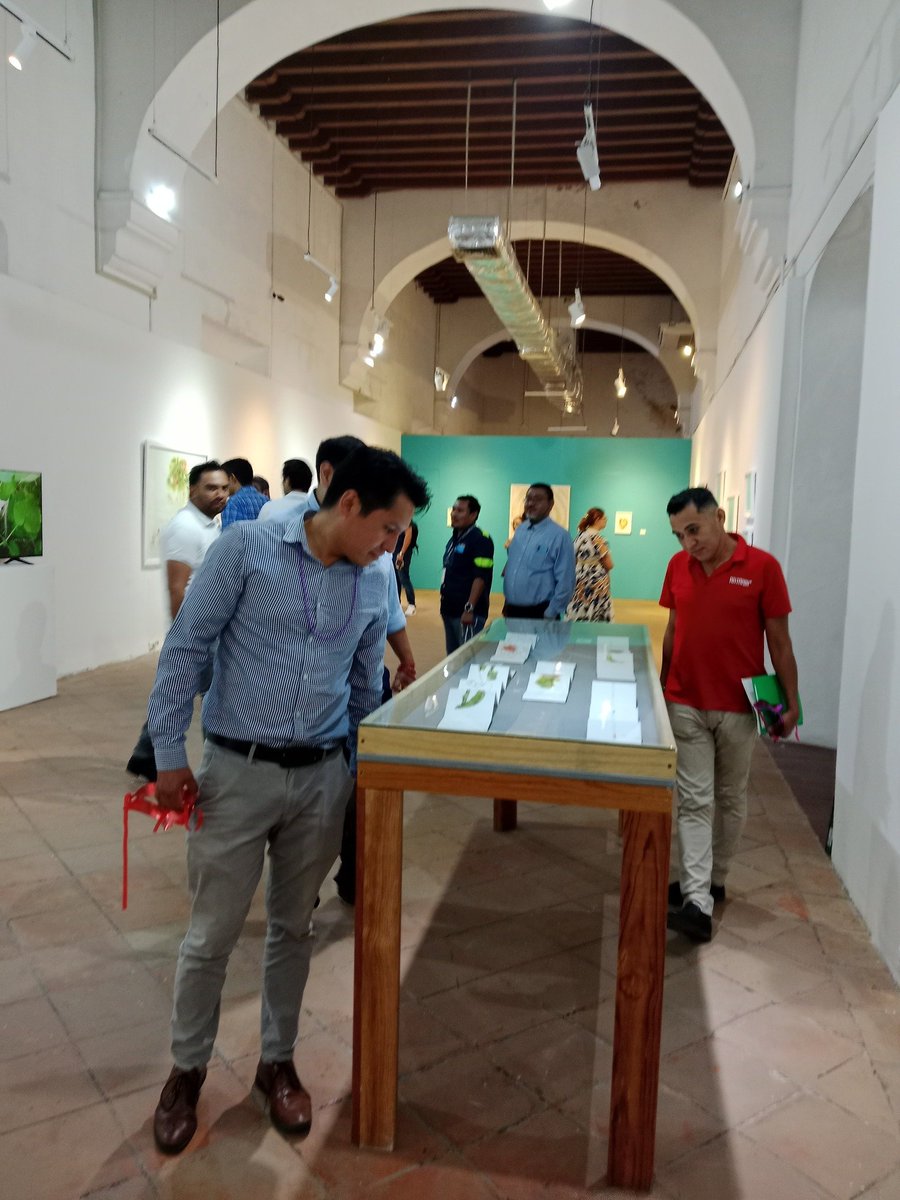Continuamos con las visitas guiadas en la exposición 𝑷𝒓𝒐𝒎𝒆𝒕𝒊𝒎𝒐𝒔 𝑵𝒐 𝑴𝒐𝒓𝒊𝒓 de Alejandra Alarcon. 
Recientemente recibimos a un grupo de la empresa de consultoría TI América, como parte de las actividades de capacitación que realizaron en el puerto de Veracruz.