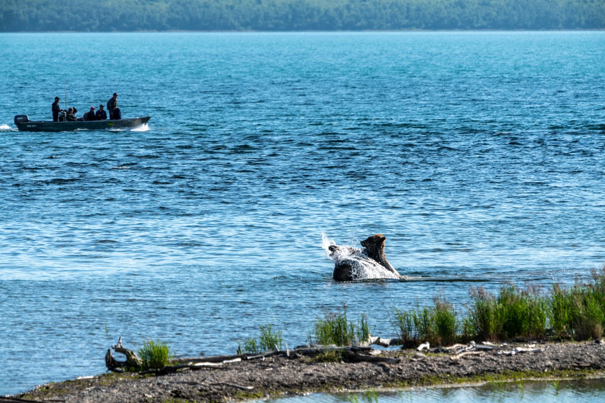 Splash fight!

Good night, friends.