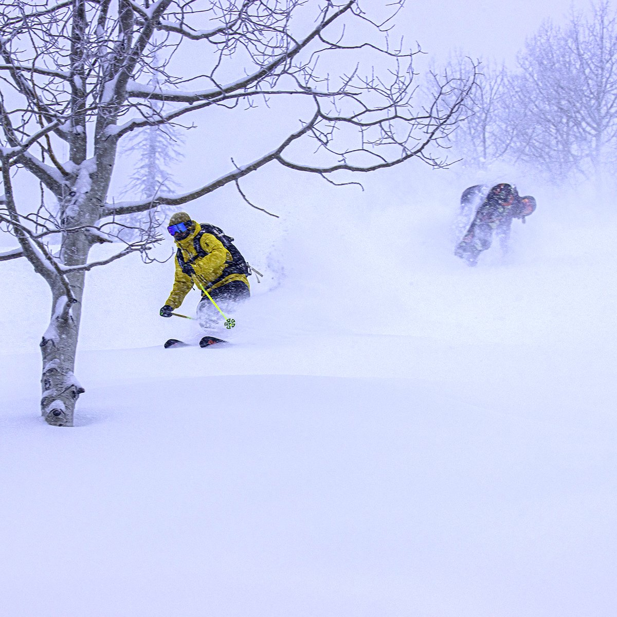 We are LOVING Summer... and also, NGL... at the same time, REALLY missing this! How about you?

#SKIthebeav #iRIDEbeaver #winterLOVE #summer #CAMPthebeav #HIKEthebeav #MTBthebeav #weLOVEyou #BeaverFam